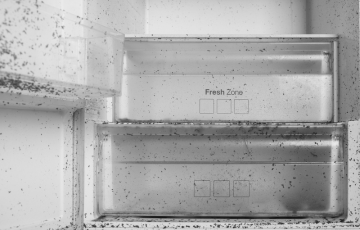 Before image of matters